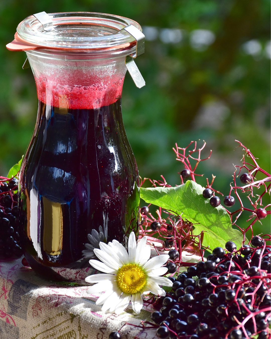 Infusion Trésors de la Forêt