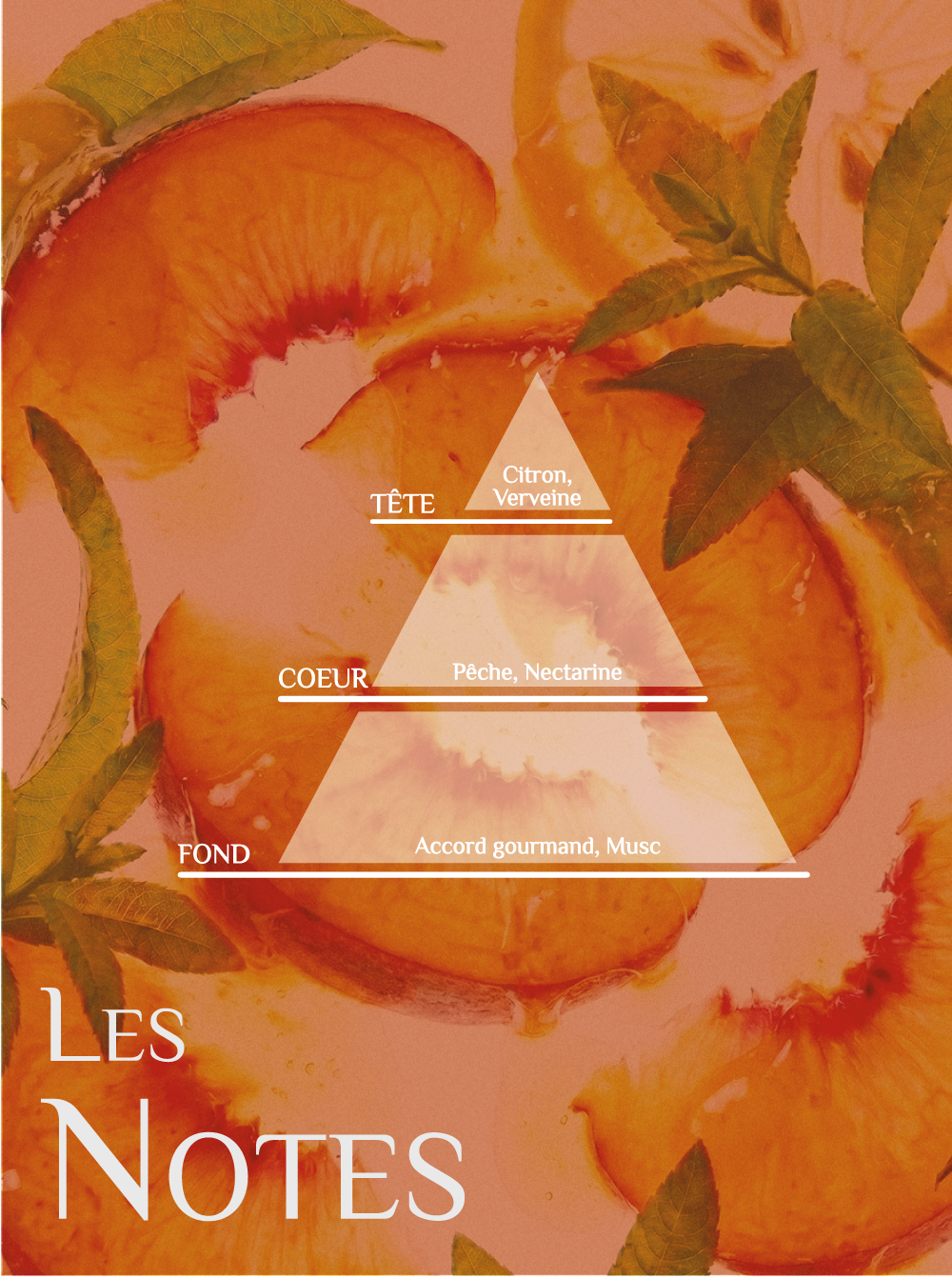 Bougie The Cottage – Parfum d'été