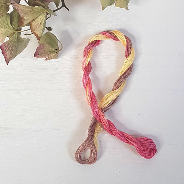 Atalie Orchid thread (5m)