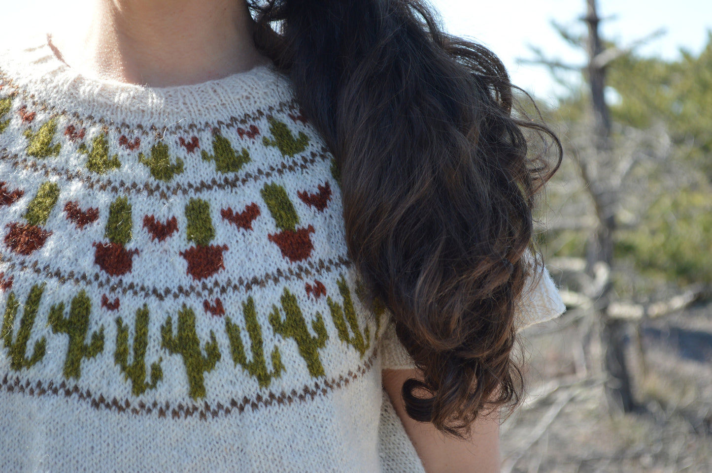 Cacti Crop sweater knitting pattern from Boho Chic Fiber Co