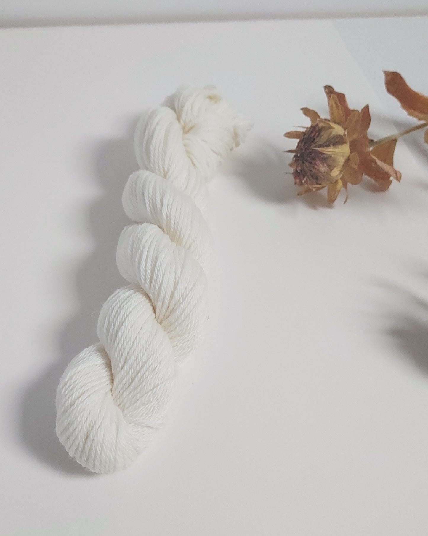 Mini skein Merinos superwash undyed - 20g
