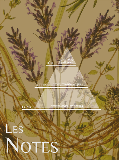 Bougie Sunny Garden – Thym, romarin et citronnelle