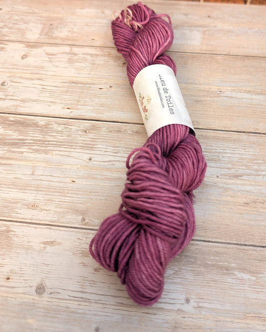 🧵 Mini écheveau teint à la main - Socquettes Baie d'Hiver