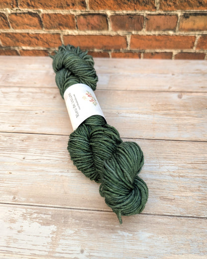 🧵 Mini écheveau teint à la main - Socquettes Basilic