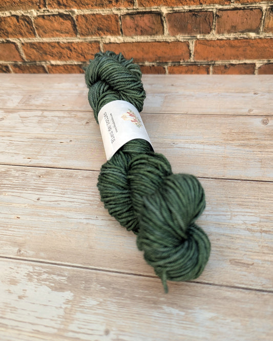 🧵 Mini écheveau teint à la main - Socquettes Basilic