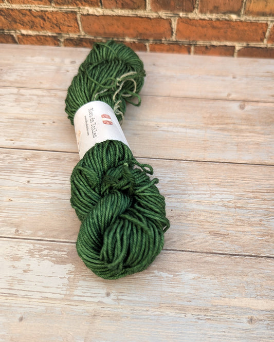 🧵 Mini écheveau teint à la main - Mérinos Cactus