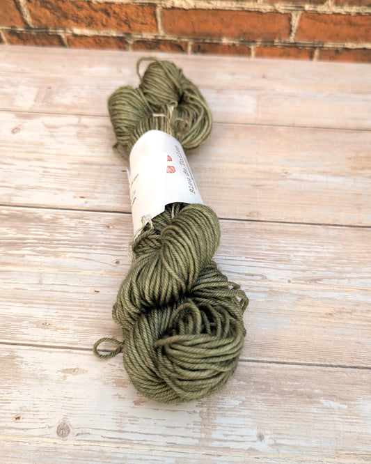 🧵 Mini écheveau teint à la main - Socquettes Marais